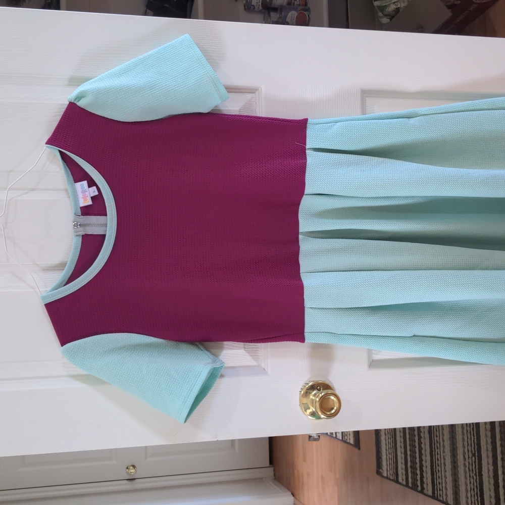 Lula Roe Mint and Purple Dress Size Large